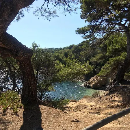 La Provence Authentique A 30 Minutes Des Plages Collobrieres Exterior photo