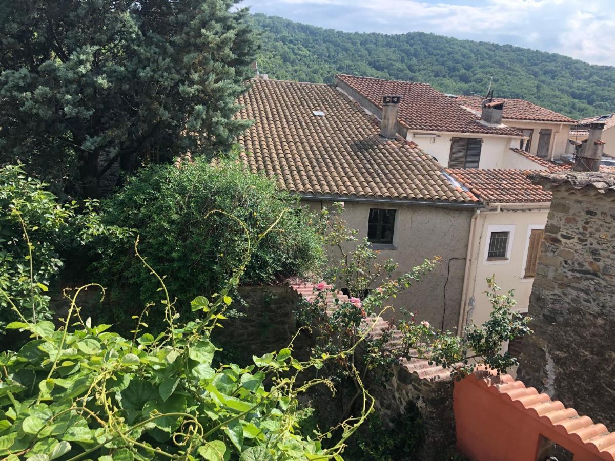 Appartement La Provence Authentique à 30 Minutes Des Plages Collobrières