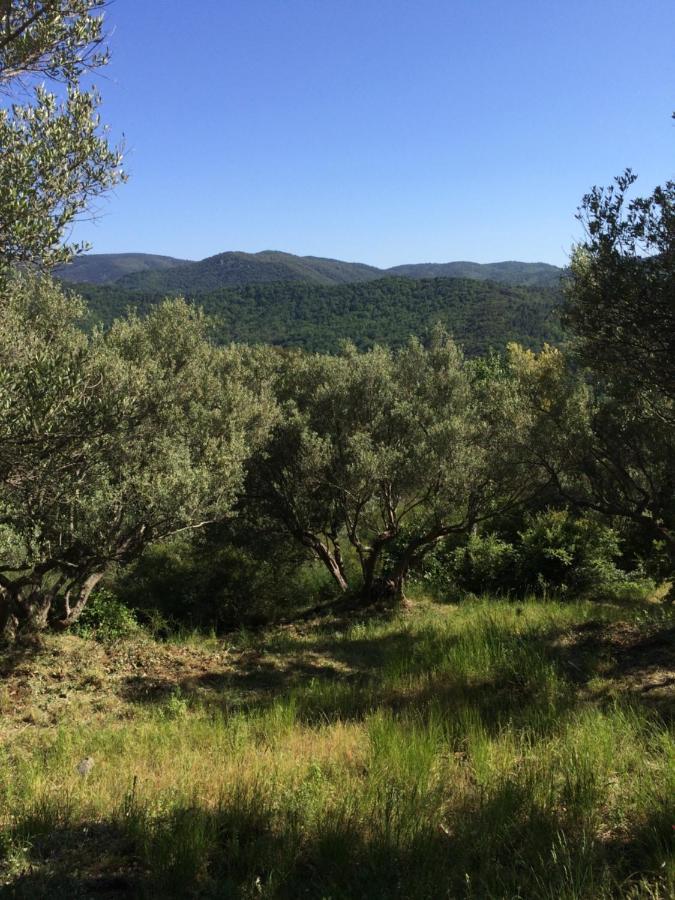 La Provence Authentique à 30 Minutes Des Plages Collobrières